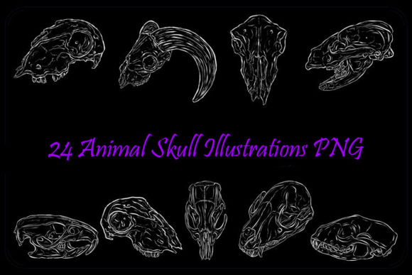 Download White Line Art Animal Skull Halloween - Animal Collection