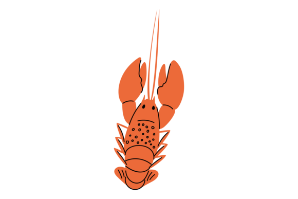 Download Sea or River Crayfish. Aquatic Animal. S - Animal Collection