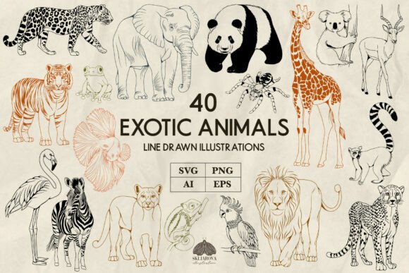 Download Exotic Animals Line Art Svg Png - Animal Collection
