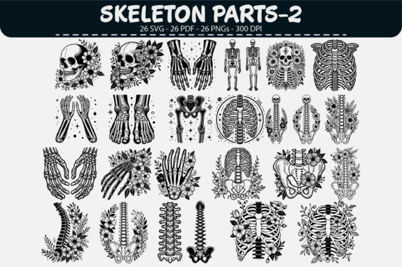 Download Skeleton Parts Vector Clipart – 26 Desig - Vector clipart Collection
