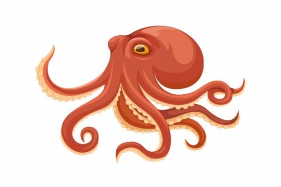 Download Octopus Aquatic Animal Cartoon Vector - Animal Collection