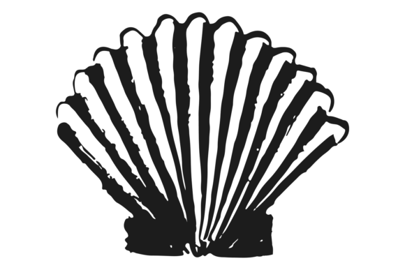 Download Cockle Shell. Sea Animal in Hand Drawn S - Animal Collection